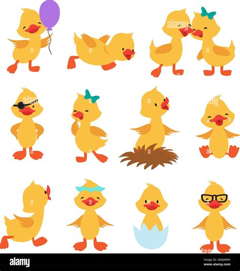 Cartoon Cute Ducks Little Baby Yellow Chick Vector Isolated Characters