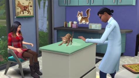 Sims 4 Vetrinarian Cats And Dogs Recolor Bxebinary