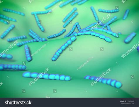 Streptococcus Pneumoniae Bacteria Artwork Stock Illustration 199455302