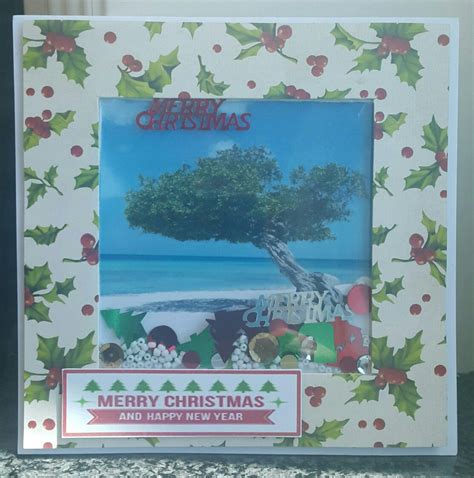 The online ed card of aruba has thus far been able to gather valuable data with regards to health concerns of the aruban government such as Famous Aruba's Fofoti tree season greeting shaker card. | Shaker cards, Merry christmas and ...