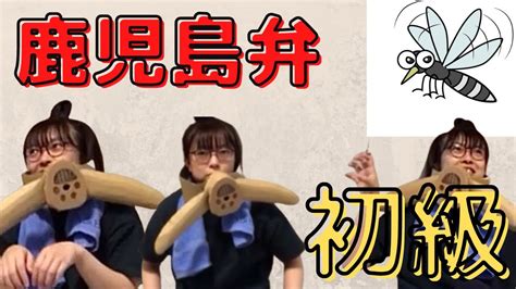 Ecchi / サスペンス・ミステリー / 学園. 【蚊が家の中に】からいもさん、鹿児島弁をしゃべる。 | きば ...