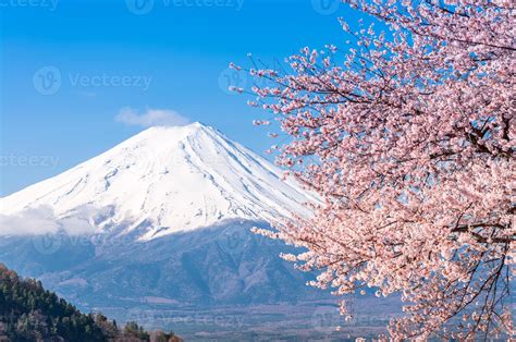 Monte Fuji Y Flor De Cerezo En El Lago Kawaguchiko 1387891 Foto De