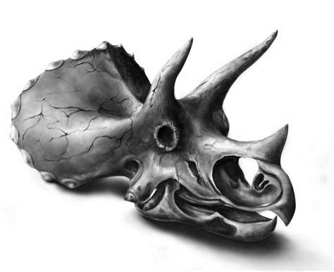 Triceratops Horridus Illustration Photoshop By Andrea Kuszewski 2008