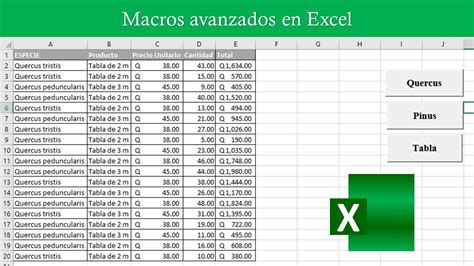 Macros En Excel La Herramienta Para Potenciar La Gesti N Administrativa