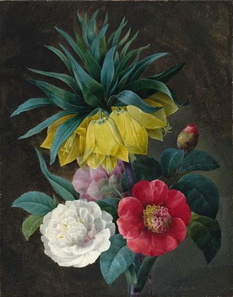 Pierre Joseph Redoute Four Peonies And A Crown Imperial — National