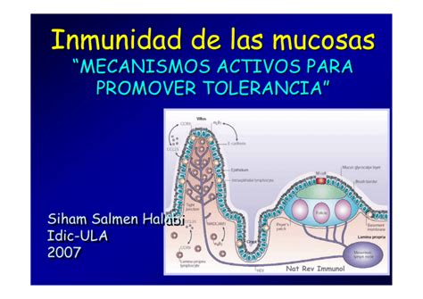 Inmunidad De Las Mucosas