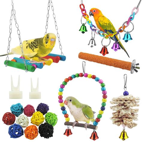 2023 The Best Toys To Stimulate And Engage Your Conure For Hours Of Fun Helpful Advice And Tips