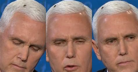 Can't wait until mike pence gets off stage and realizes all anyone is going to talk about is the fly that landed on his head and sat there for 5 solid minutes while the world cheered it on. Fly Lands on Mike Pence's Head and Stays During VP Debate