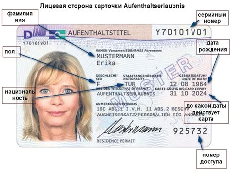Как получить ВНЖ и ПМЖ в Германии: все доступные варианты от ...
