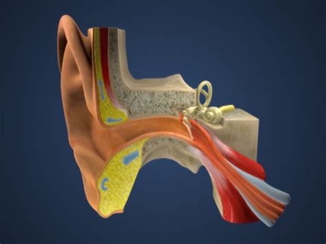 Medical Animation From Visual Health Solutions