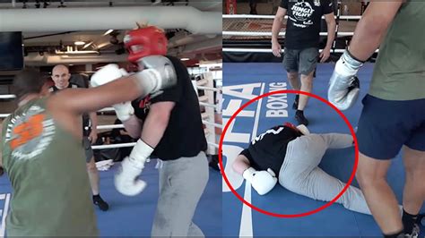 Logan Paul Gets Knocked Out By Ufc Fighter Youtube