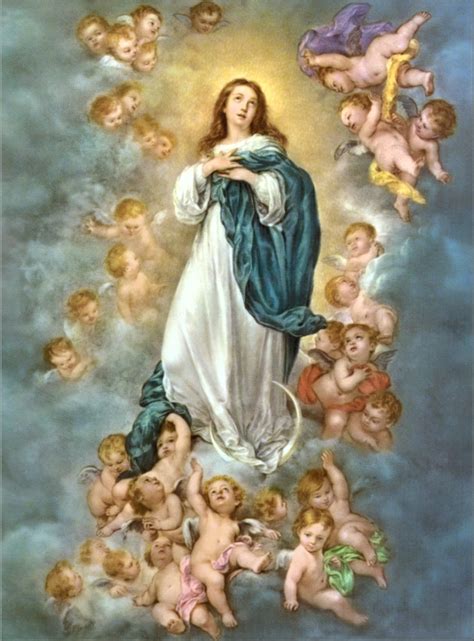 Watch this hd video now by upgrading today, you get one week free access. The Assumption Of Mary - Australian Catholic Mums