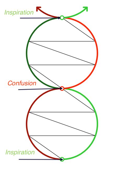 Double Helix In A Nutshell Double Helix Dynamics