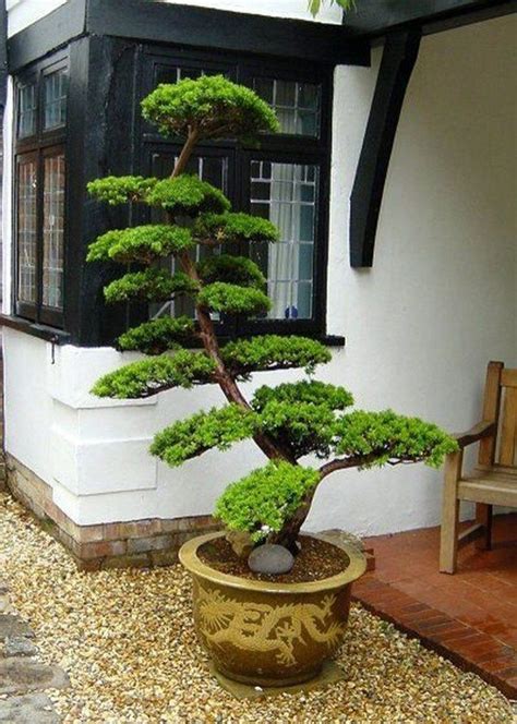 Stunning Bonsai Garden Ideas Best For Outdoor Decor 06 Japanese Garden