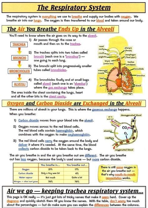 Nursing Study Guide Printable