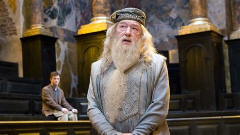 5 Things About Dumbledore S Costume That Slipped By Fans