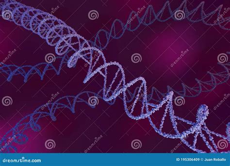 Dna Chains On A Purple Background Deoxyribonucleic Molecule 3d