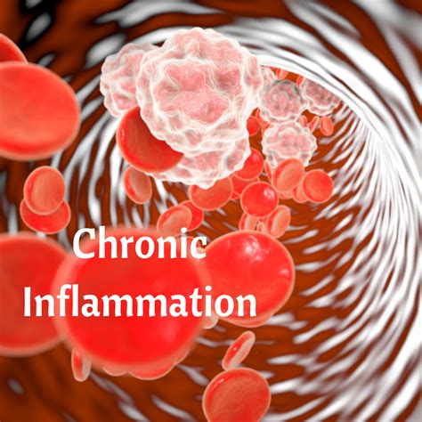 What Happens To The Body With Chronic Inflammation How Can I Fight