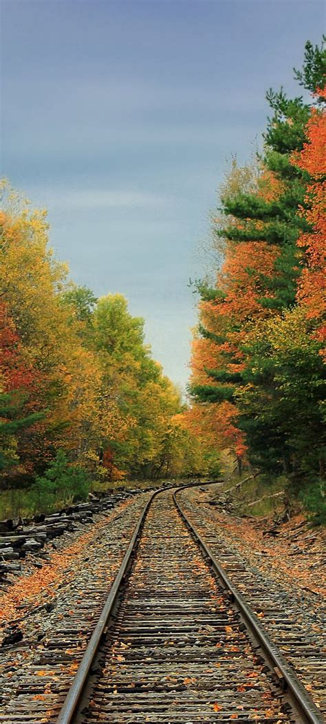 Pin By Izabella On Autumn Iphone Wallpapper Railroad Tracks