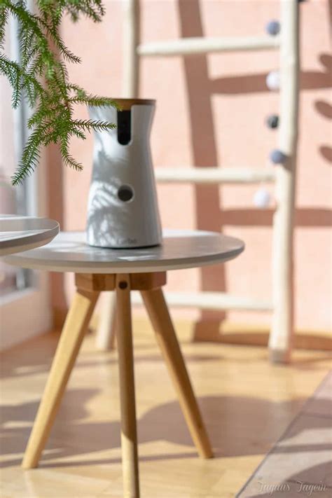 Allkauf haus im test und testberichte vonallkauf haus2021 ✓ jetzt informieren! Ein Jahr mit Max Erfahrungen Furbo Hundekamera