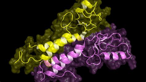 Study Cracks Open The Secrets Of The Cancer Causing Brca1 Gene Stat