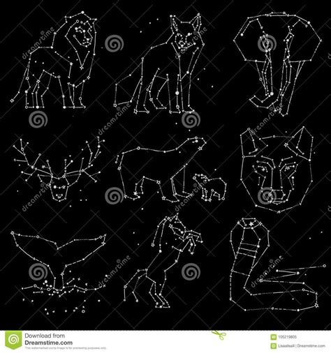 The stars that aren't twinkling are the stars in the constellation. Collection Of Hand Draw Animals Constellation On Dark Sky ...