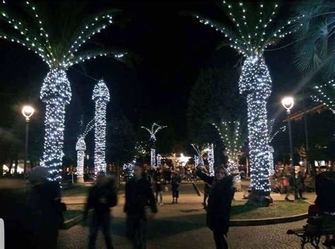 Once you've identified the bare spots, rearrange the lights to fill them in. This is why you shouldn't put Christmas lights on palm trees