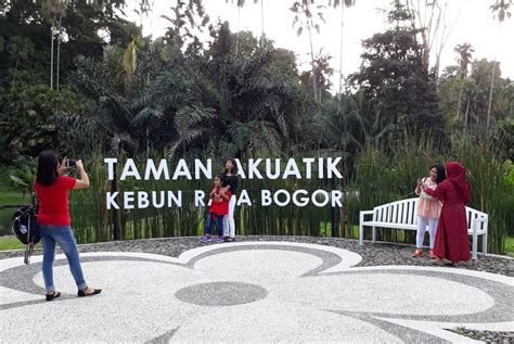 Taman Akuatik Kebun Raya Bogor Jadi Spot Foto Pengunjung Republika Online
