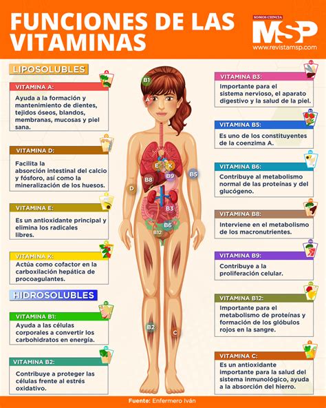 S T Finalmente Pendiente Tipos De Vitaminas Y Sus Funciones En El