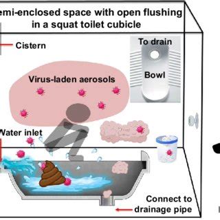 PDF Open Defecation And Squat Toilets An Overlooked Risk Of Fecal Transmission Of COVID