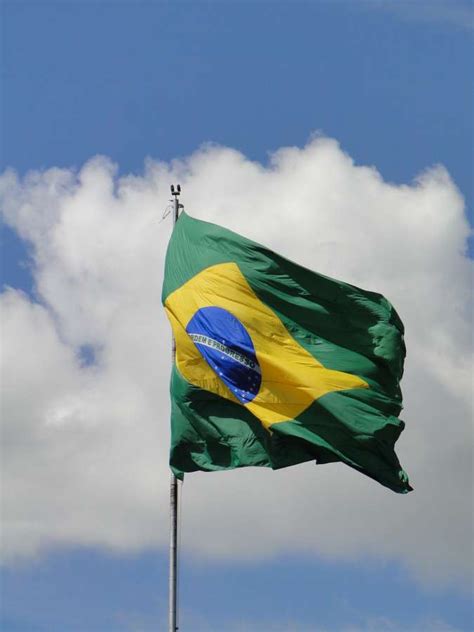 🥇 Imagen de Bandera de Brasil - 【FOTO GRATIS】 100011240