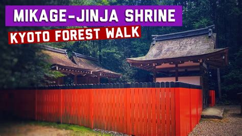 Kyoto Forest Walk Mikage Jinja Shrine Youtube