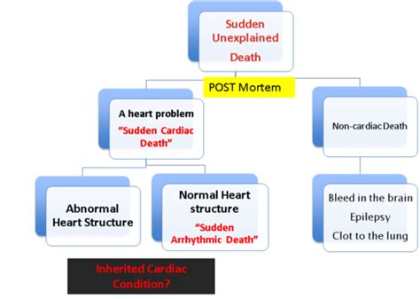 Cardiovascular Structural Cardiac Abnormalities Inherited Cardiac