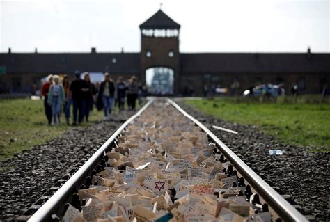 Rubber Duck Photo At Auschwitz Sparks Criticism And A Conversation