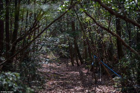 Haunting Images From Inside Japans Suicide Forest Daily Mail Online
