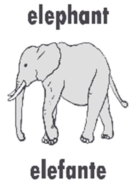 Elephants elephant elefante (m) white. Spanish Alphabet