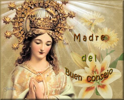 Santa María Madre De Dios Y Madre Nuestra Madre Del Buen Consejo