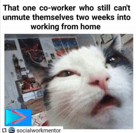 Funny Zoom Memes To Put In The Zoom Chat While Your Boss Is Talking