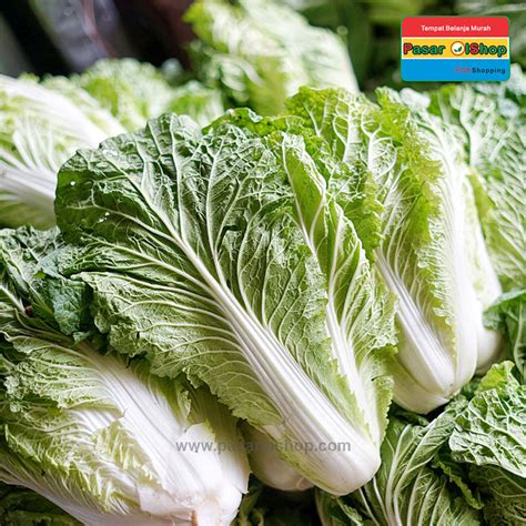 Download now wortel gambar vektor unduh gambar gratis pixabay. S12 Sawi Putih 1 Kg | Jual Buah Sayur Lauk Bumbu Sembako