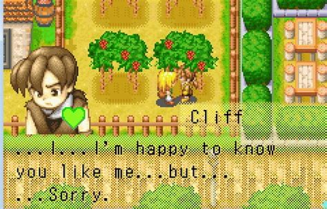 This includes growing crops and raising livestock. Image - Cliffrejection.jpg | The Harvest Moon Wiki ...