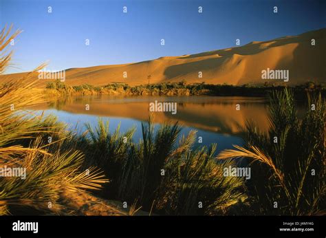 Libya Desert Sahara Dunes Oasis Palms Lake Gebraoun Africa North