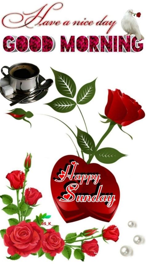 Happy Sunday Have A Nice Day Good Morning Greeting Card With Roses