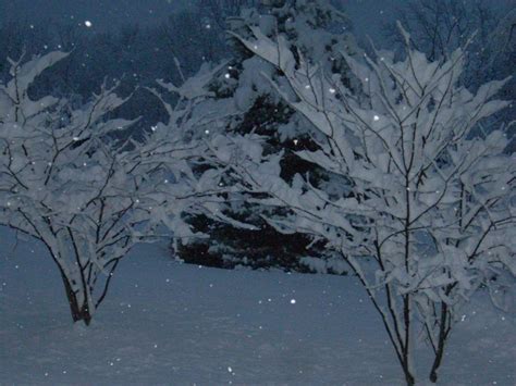 Swac Girl Sunrise After The Snow Winter Wonderland In Shenandoah Valley