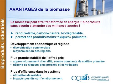 La Biomasse Avantages Biogaz Energie Fermentation
