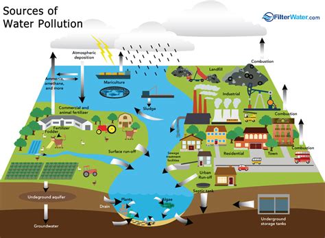 Water Pollution Effects On Health And Sustainability Thrive Blog