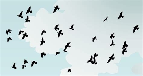 Birds Of A Feather Flock Together —meaning And Origin Phrases