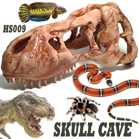 Jual Hs009 Hiding Skull T Rex Tyrannosaurus Tengkorak Fosil Dinosaurus