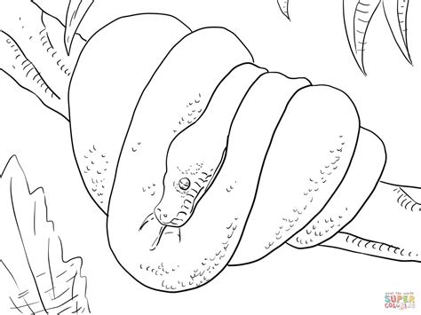 Green Tree Python Coloring Page Free Printable Coloring Pages