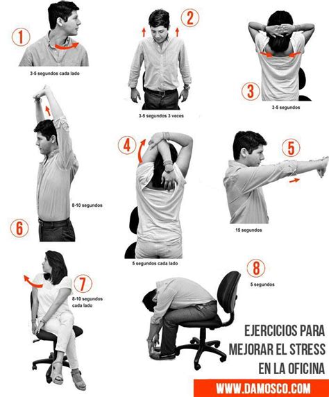 Ejercicios Para Mejorar El Estress En La Oficina Fisioterapia