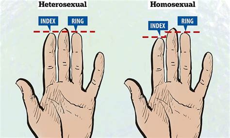 Length Of Your Ring And Index Fingers Could Reveal Your Sexuality